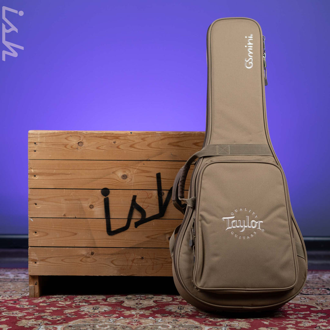 2025 Taylor GS Mini