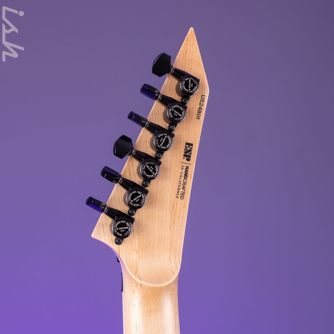 ESP USA M-I DX FR Satin Natural Zebrawood