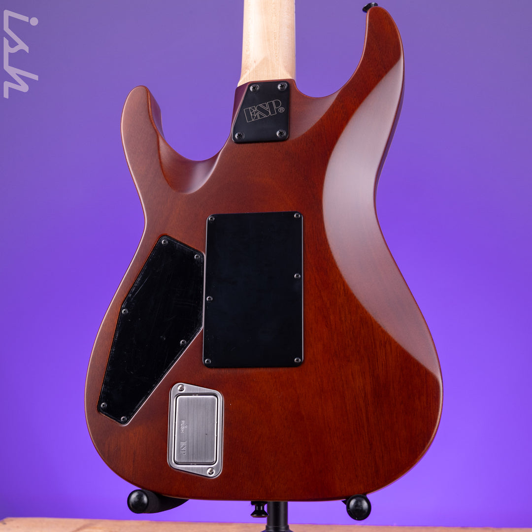 ESP USA M-I DX FR Satin Natural Zebrawood