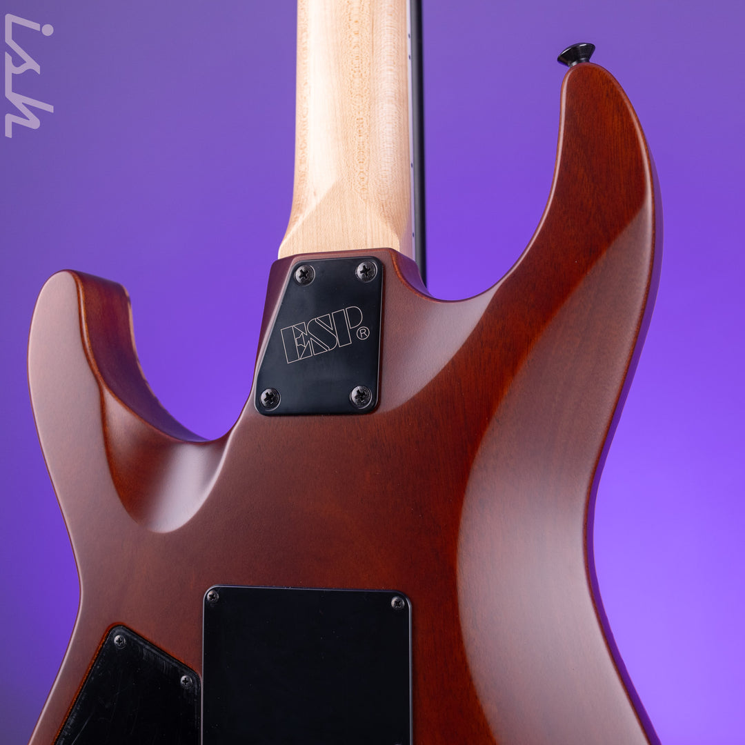 ESP USA M-I DX FR Satin Natural Zebrawood