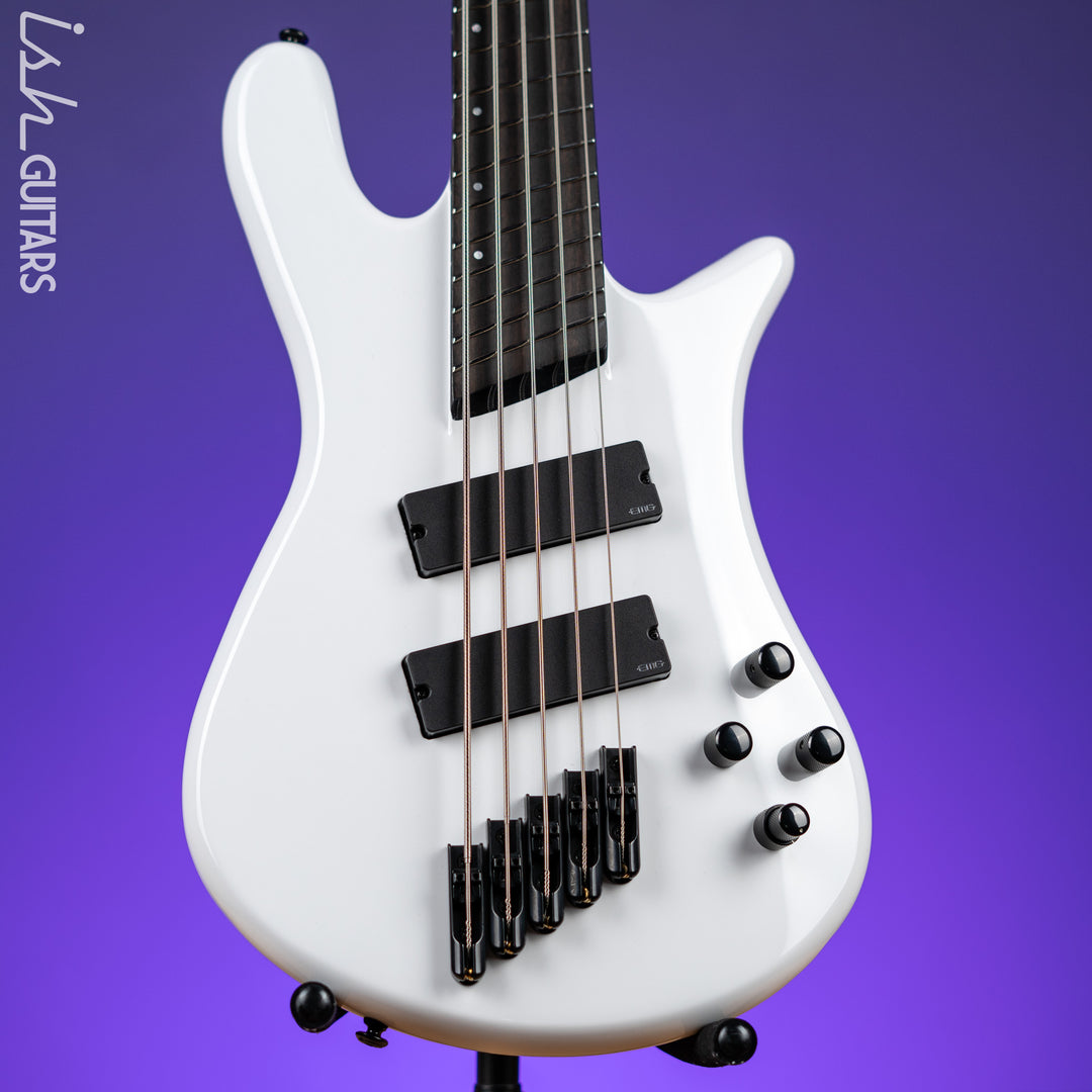 Ish X Spector NS Dimension 5 String EMG Darkglass White Gloss Demo
