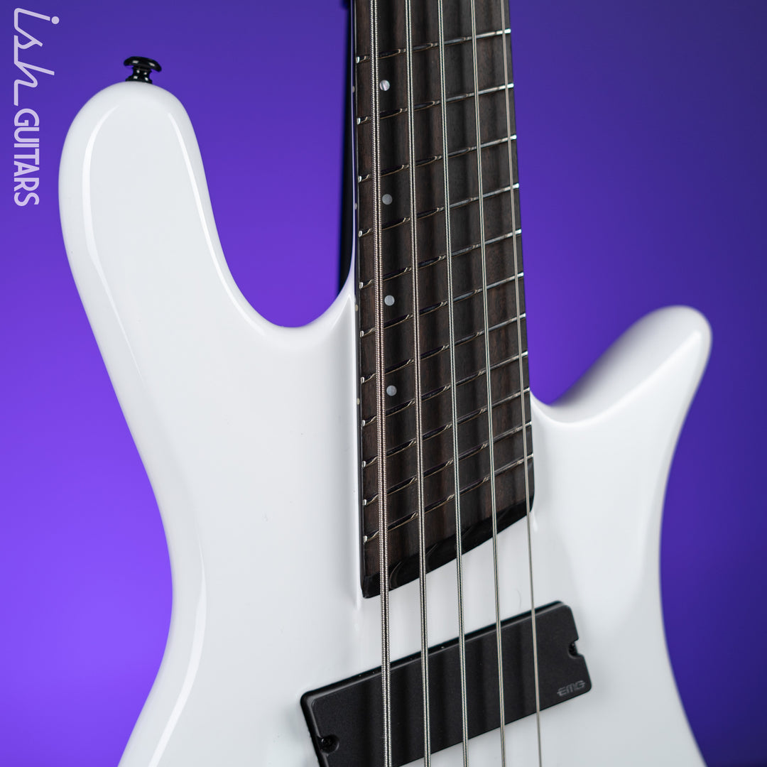 Ish X Spector NS Dimension 5 String EMG Darkglass White Gloss Demo