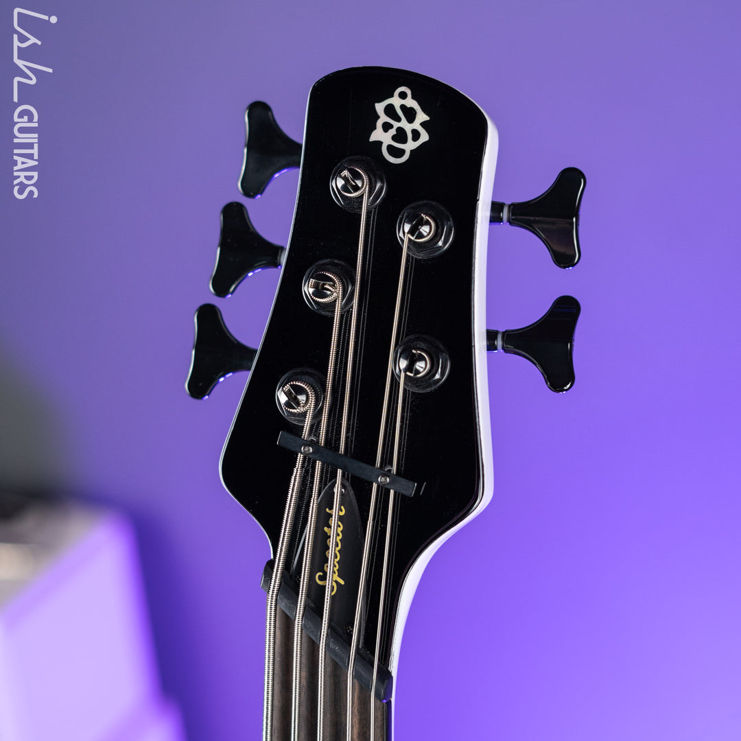 Ish X Spector NS Dimension 5 String EMG Darkglass White Gloss Demo