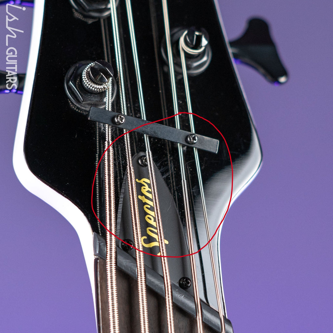 Ish X Spector NS Dimension 5 String EMG Darkglass White Gloss Demo