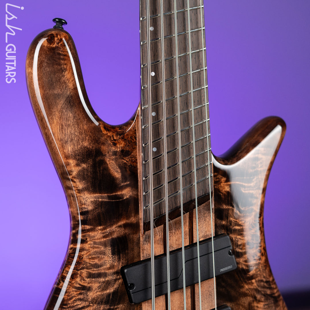 Spector NS Dimension 5 Multi-Scale Super Faded Black Gloss
