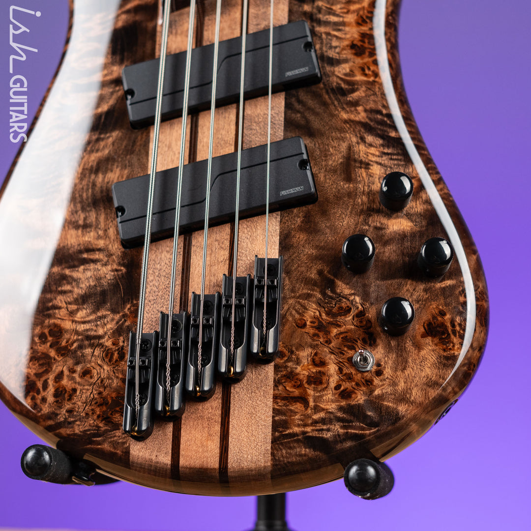 Spector NS Dimension 5 Multi-Scale Super Faded Black Gloss