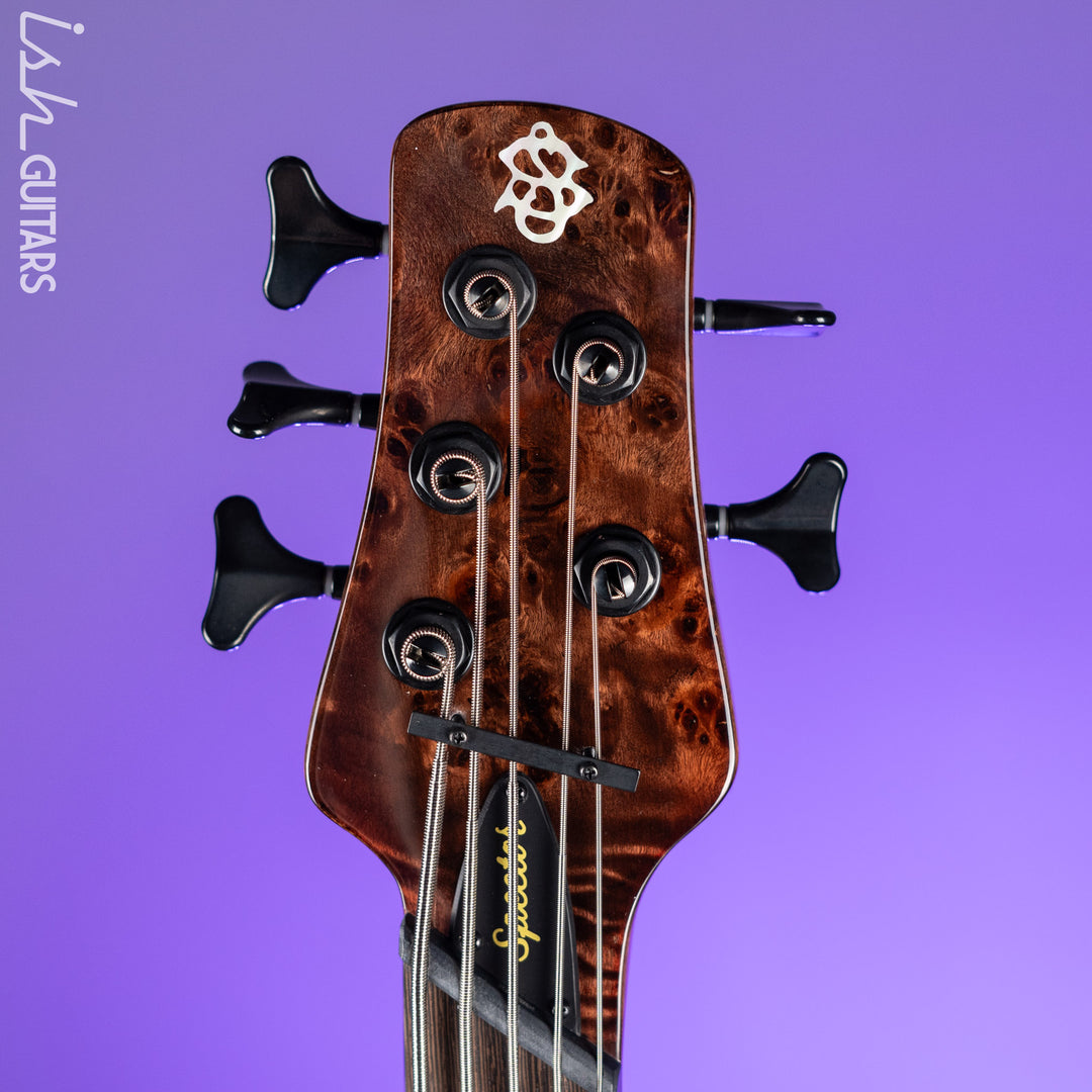 Spector NS Dimension 5 Multi-Scale Super Faded Black Gloss