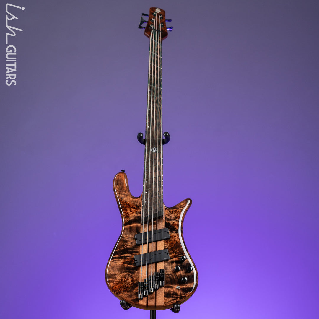 Spector NS Dimension 5 Multi-Scale Super Faded Black Gloss