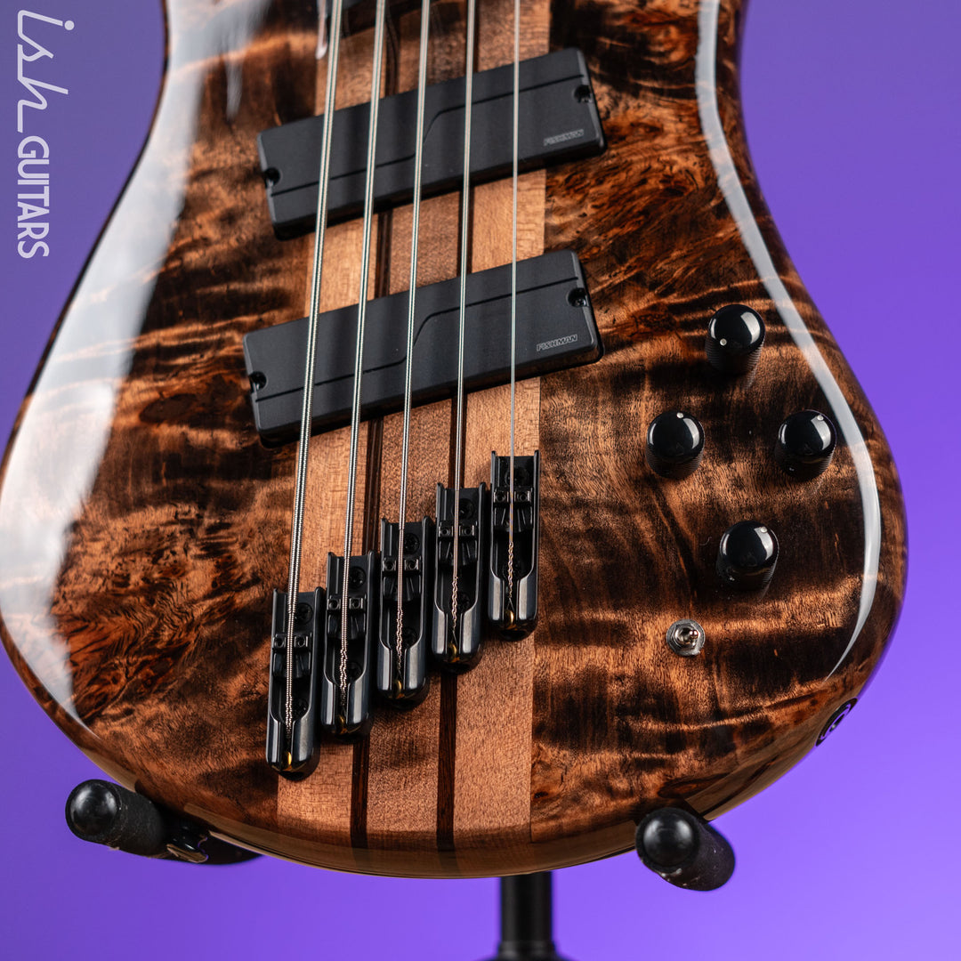 Spector NS Dimension 5 Multi-Scale Super Faded Black Gloss
