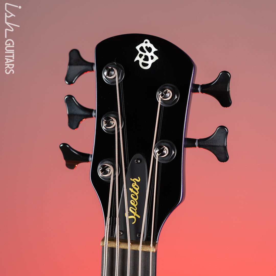 Spector NS Ethos 5 HP Bass Plum Crazy Demo