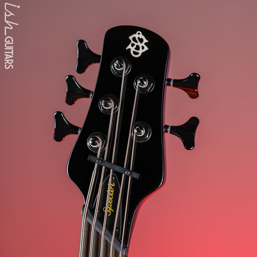 Spector NS Dimension 5 HP Multi-Scale Bass Plum Crazy