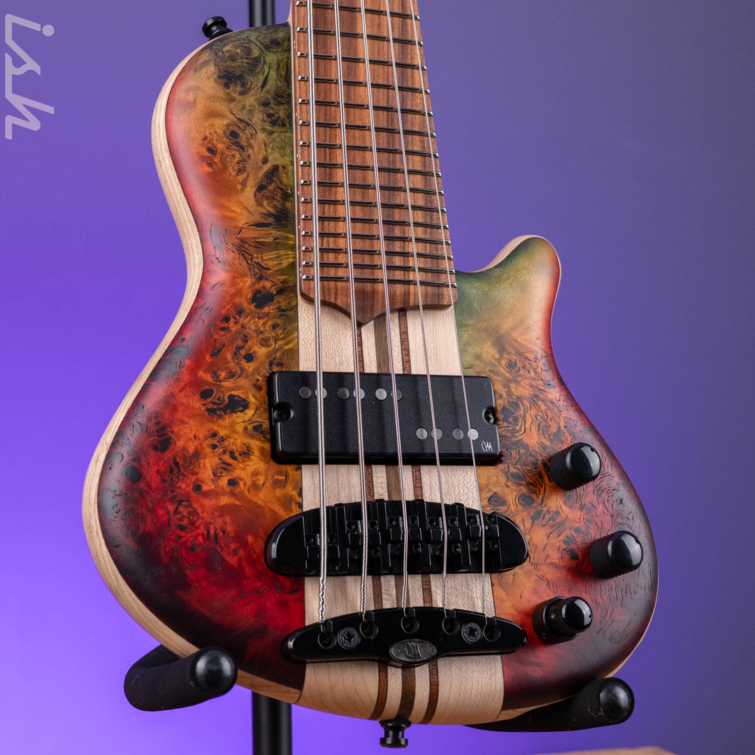 Mayones Cali 5 Mini Bass Curly Poplar