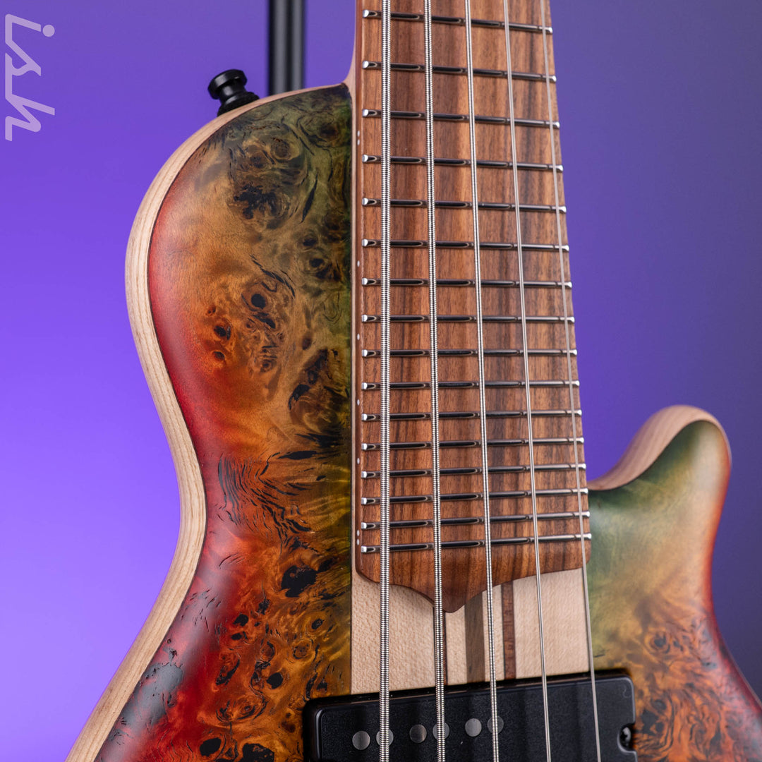 Mayones Cali 5 Mini Bass Curly Poplar