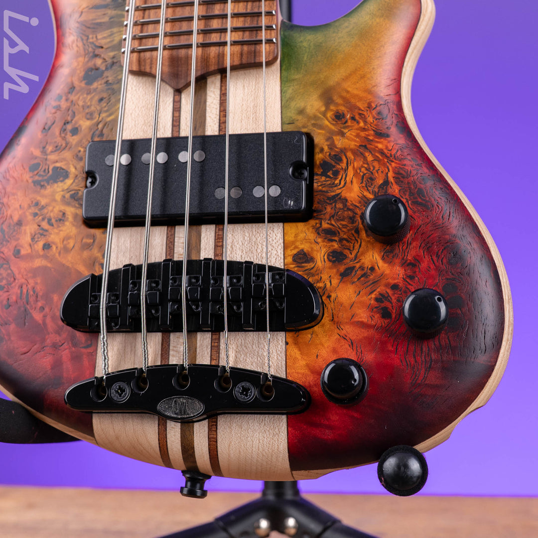 Mayones Cali 5 Mini Bass Curly Poplar
