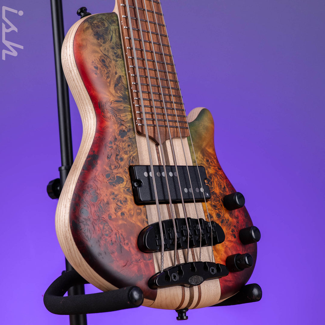 Mayones Cali 5 Mini Bass Curly Poplar