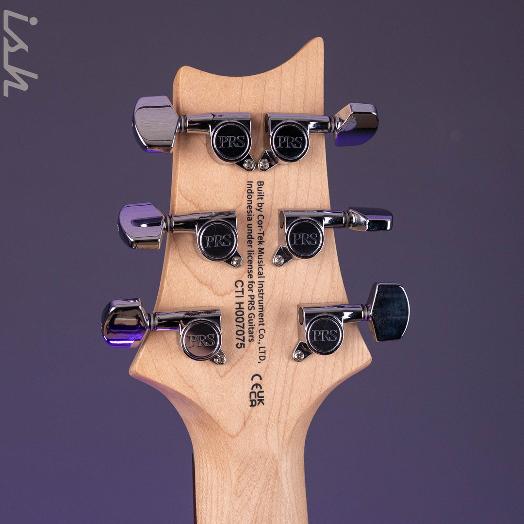2025 PRS SE Studio Standard Rosewood Sage Green