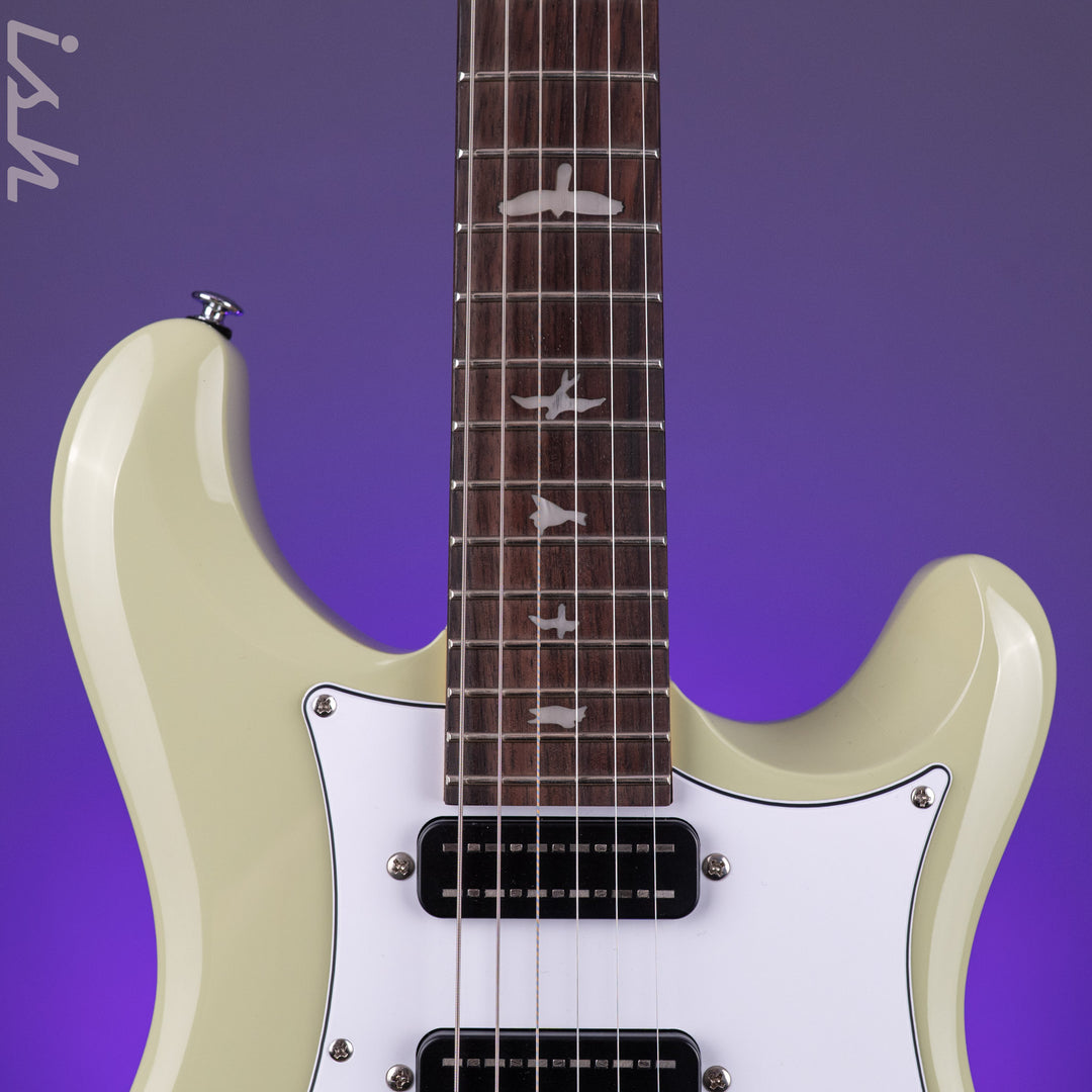 2025 PRS SE Studio Standard Rosewood Sage Green
