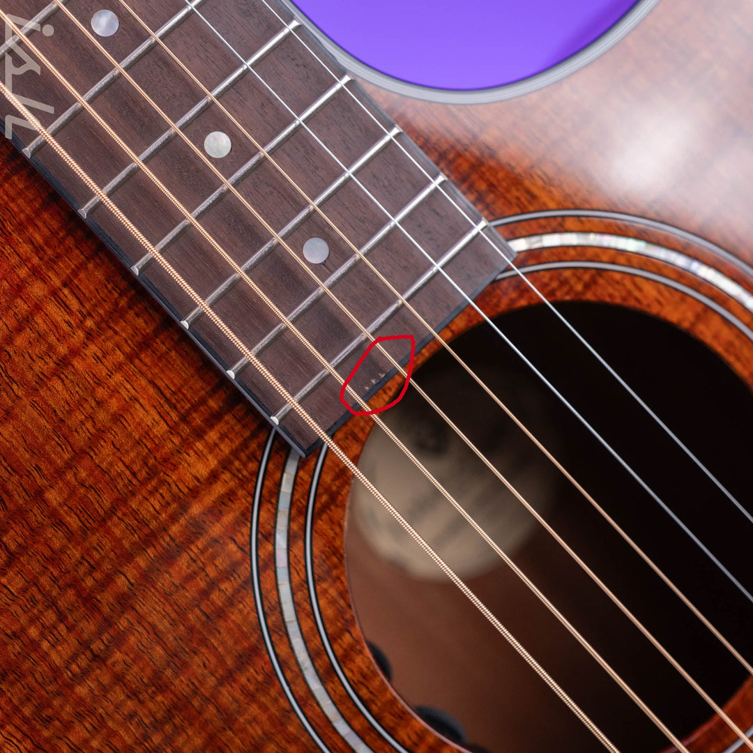 Guild OM260ce Deluxe Blackwood Natural