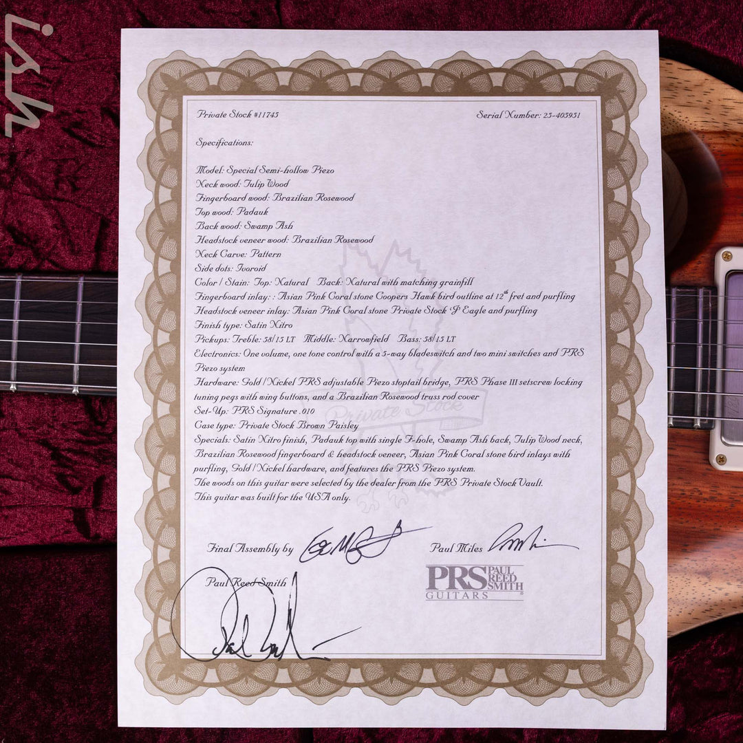 PRS Private Stock Special Semi-Hollow Piezo Padauk &amp; Brazilian Rosewood