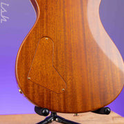 PRS Private Stock Paul's Guitar Semi-Hollow Cocobolo