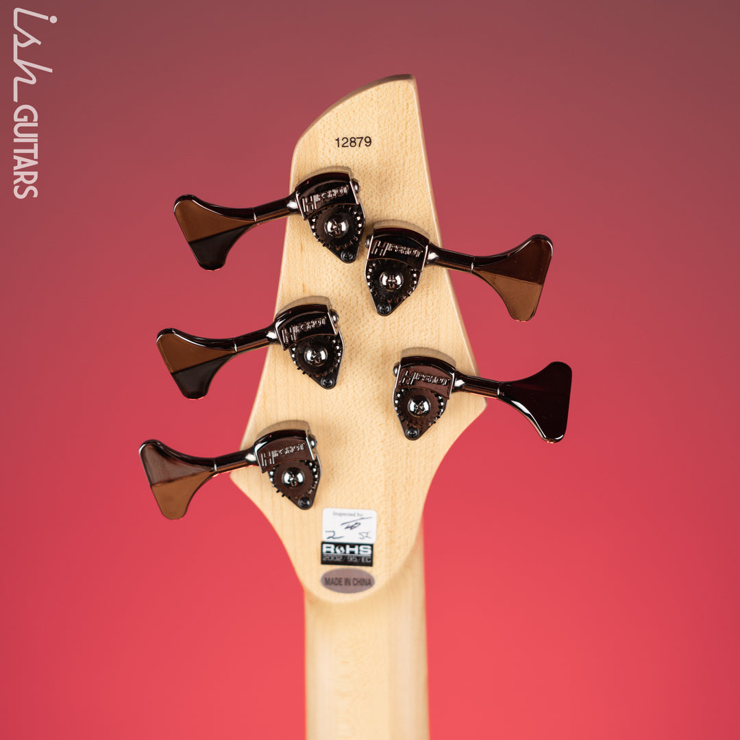 Dingwall Combustion 5-String Bass Whalepoolburst