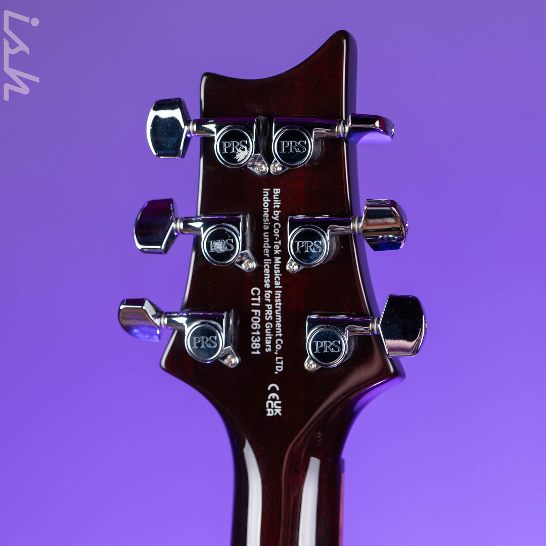 PRS SE DGT David Grissom Electric Guitar Gold Top Demo