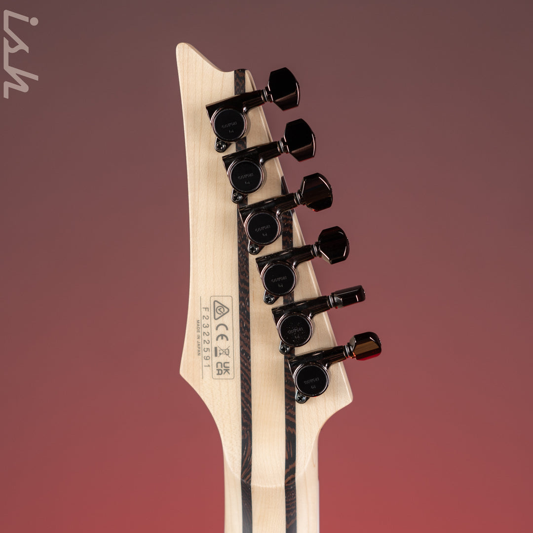 Ibanez Prestige RG5120M Electric Guitar Polar Lights