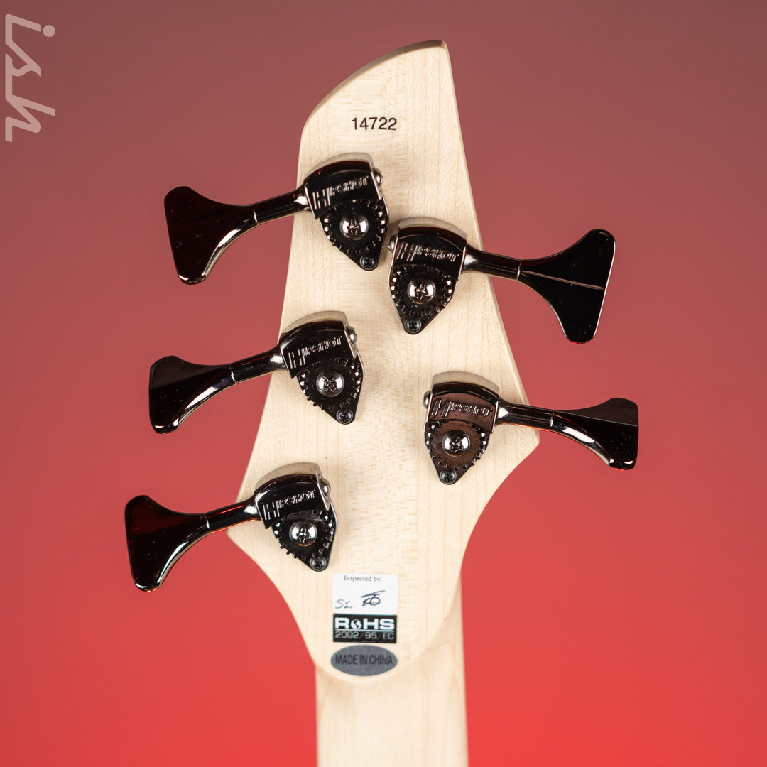 Dingwall Combustion 5-String Bass Whalepoolburst
