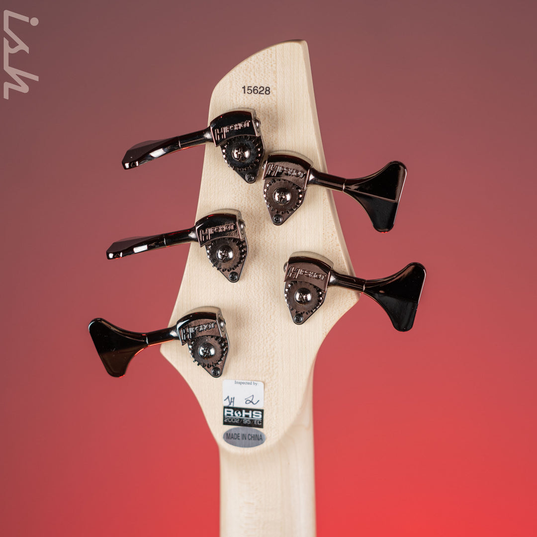 Dingwall Combustion 5-String Bass Whalepoolburst
