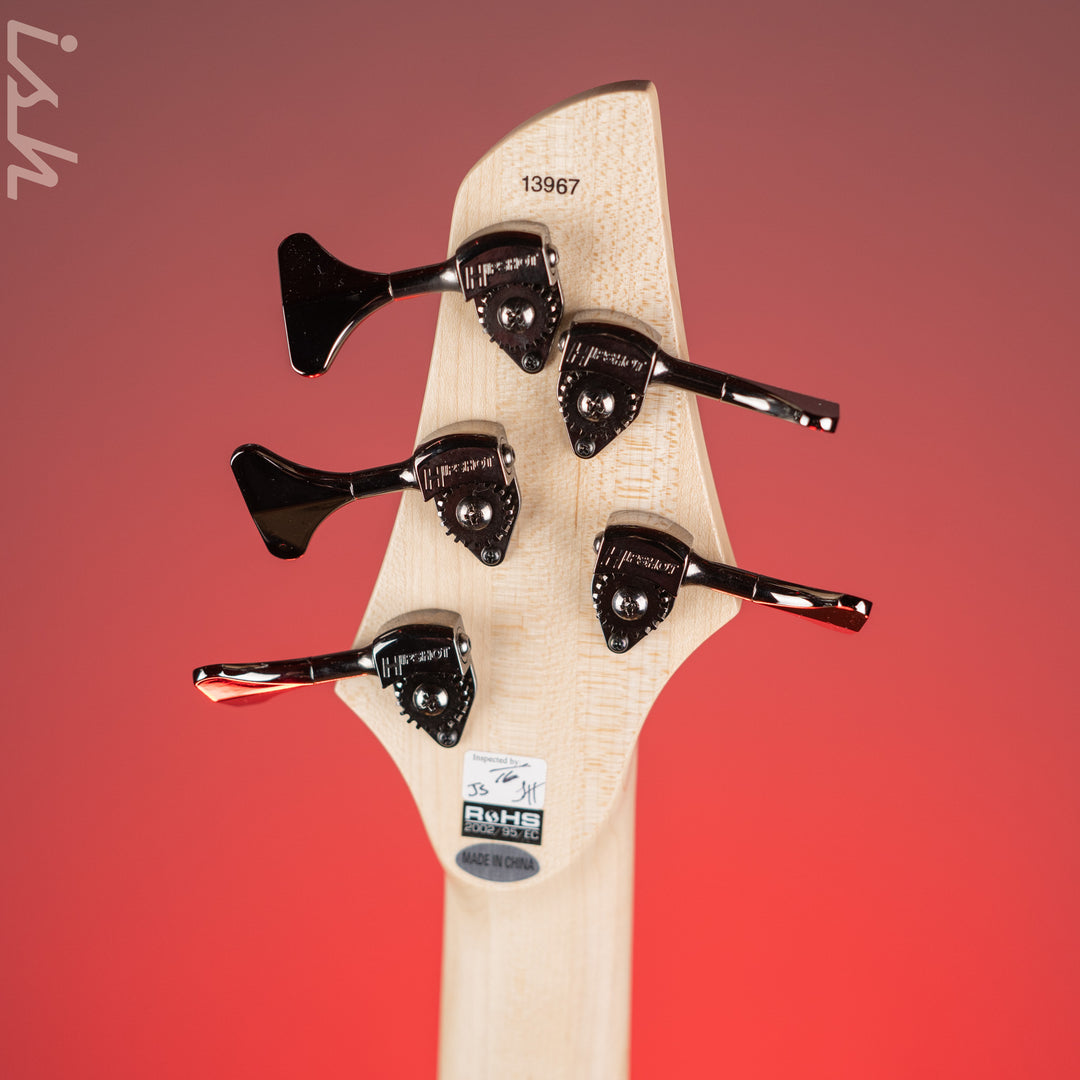 Dingwall Combustion 5-String Bass Whalepoolburst