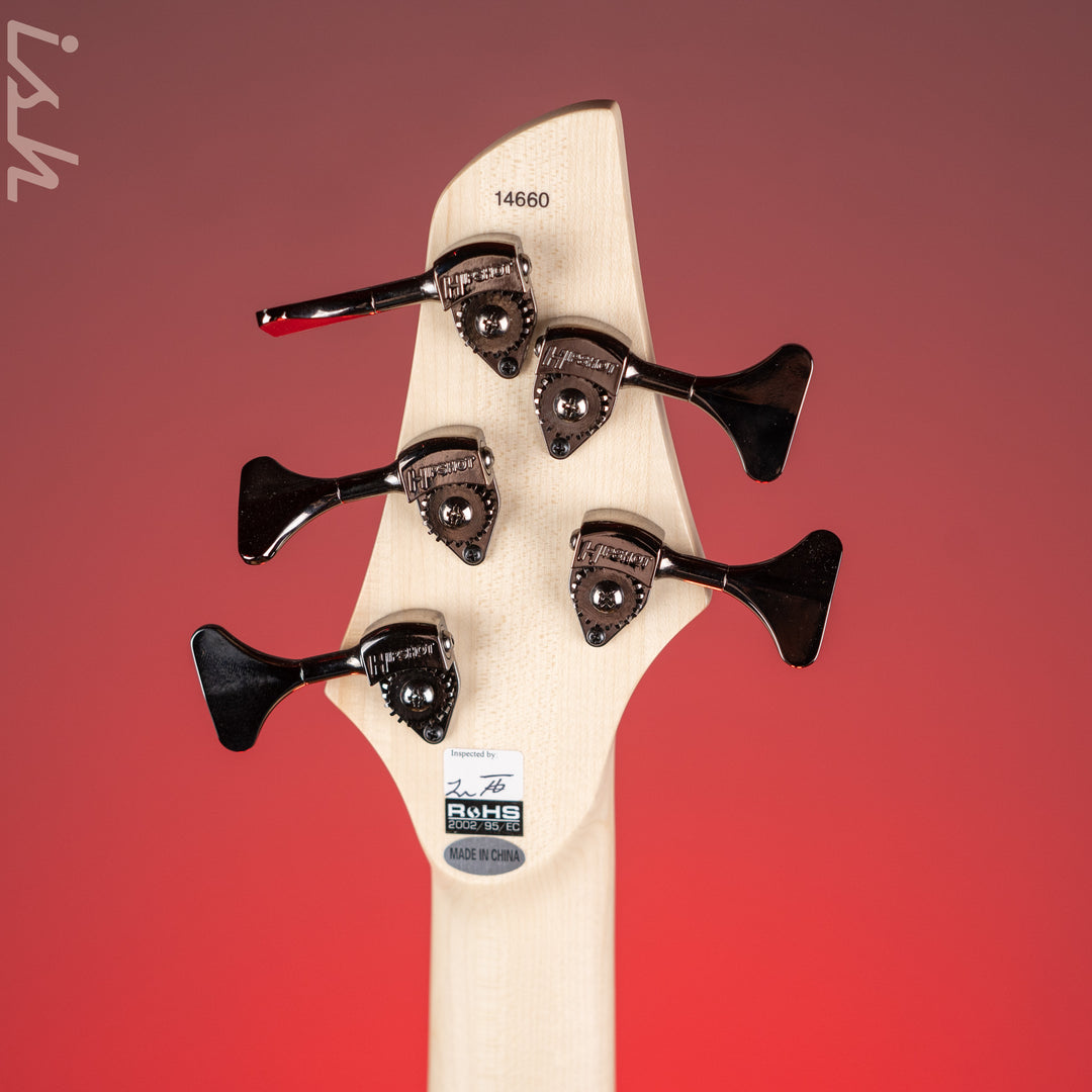 Dingwall NG-3 5-String Bass Black Gloss
