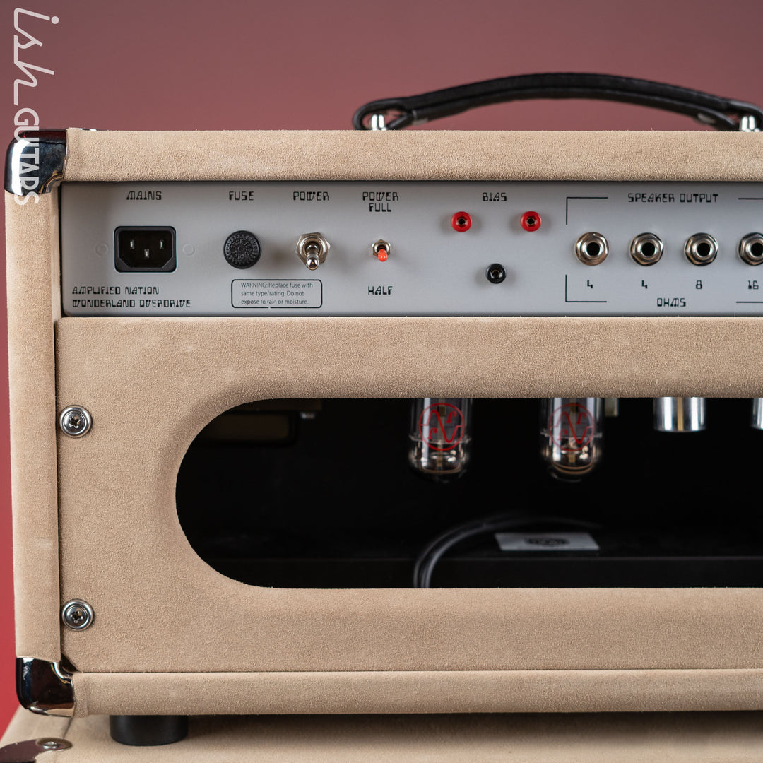 Wonderland Overdrive V2 by Amplified Nation &amp; AN-65 1x12 Speaker Cabinet Dogwood Suede