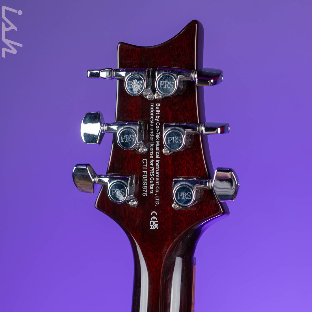 PRS SE DGT David Grissom Electric Guitar Gold Top Demo