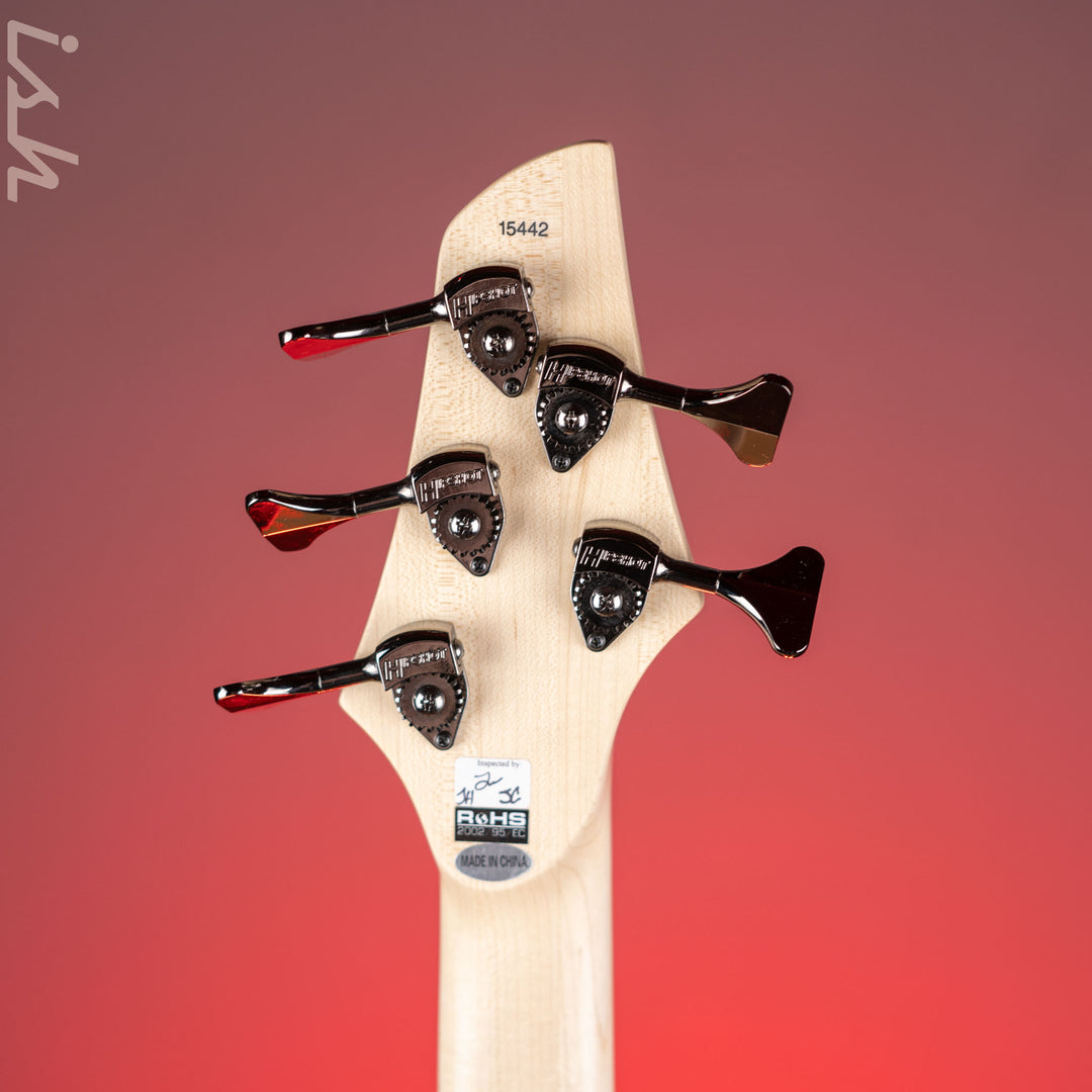 Dingwall Combustion 5-String Bass Whalepoolburst