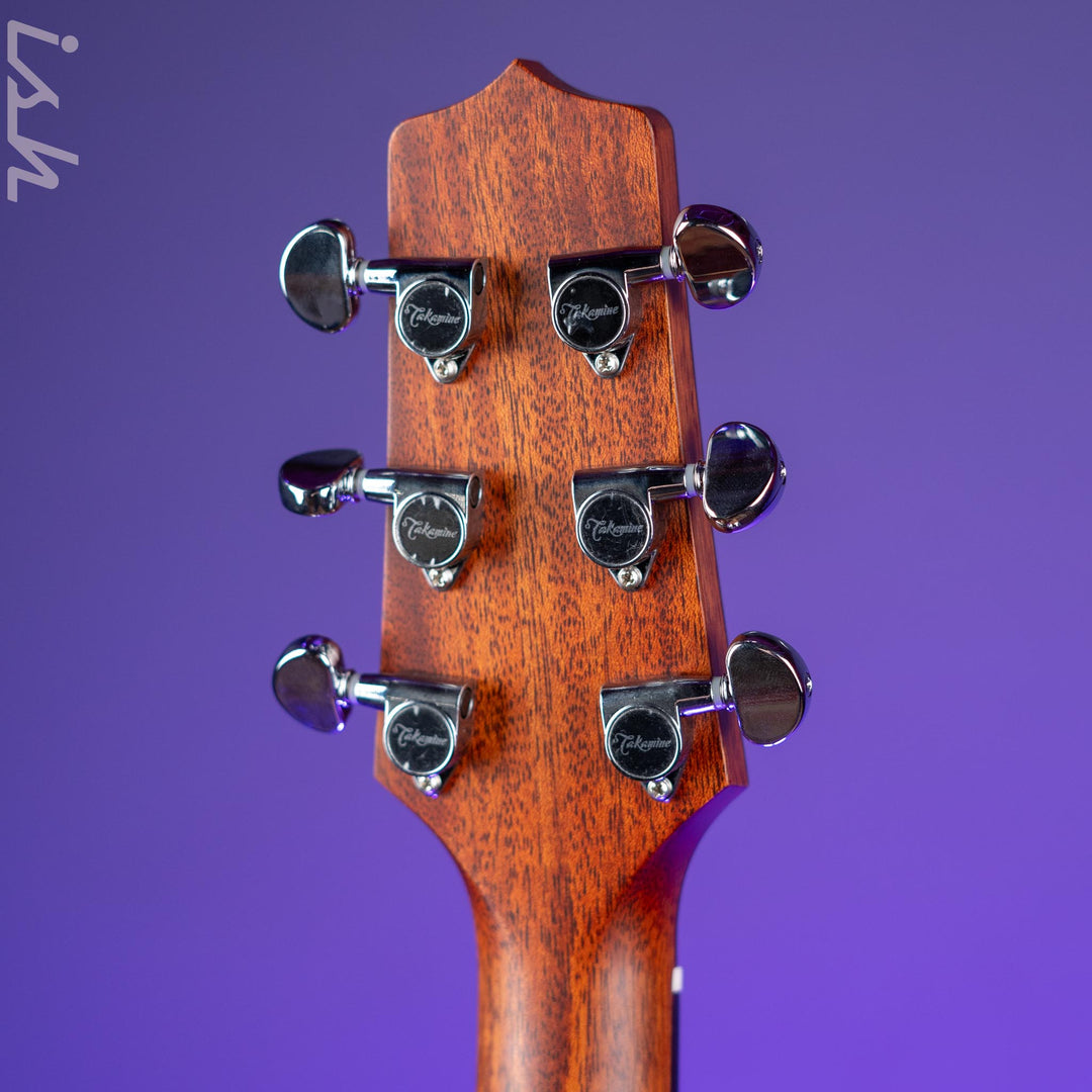 Takamine FT3450BS Acoustic-Electric Guitar Natural Demo