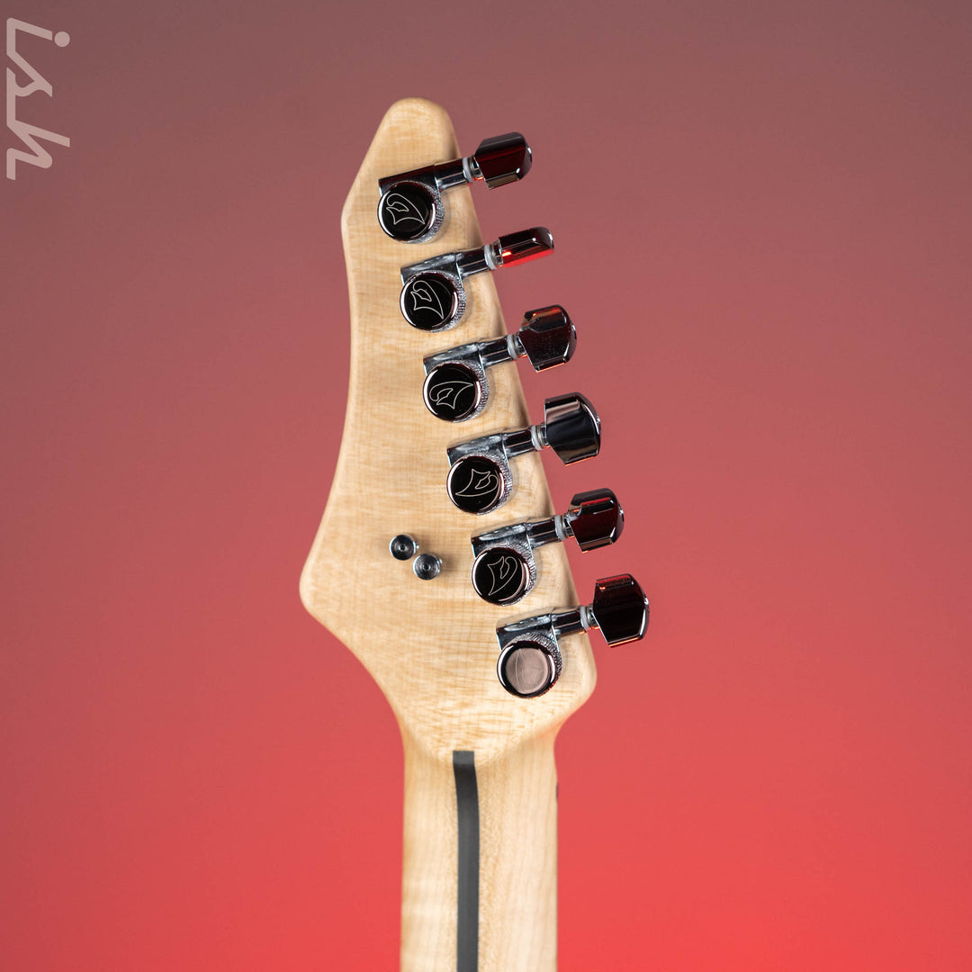 Vigier Excalibur Shawn Lane Master Signature Clear Black
