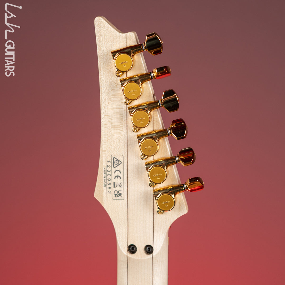 Ibanez PIA3761 Steve Vai Signature Onyx Black Demo