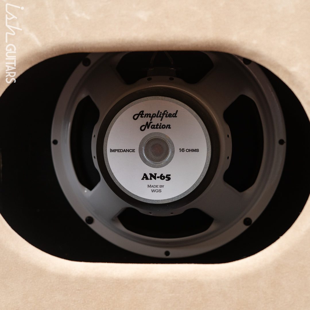 Wonderland Overdrive V2 by Amplified Nation &amp; AN-65 1x12 Speaker Cabinet Dogwood Suede