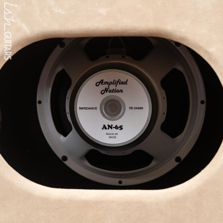 Wonderland Overdrive V2 by Amplified Nation & AN-65 1x12 Speaker Cabinet Dogwood Suede