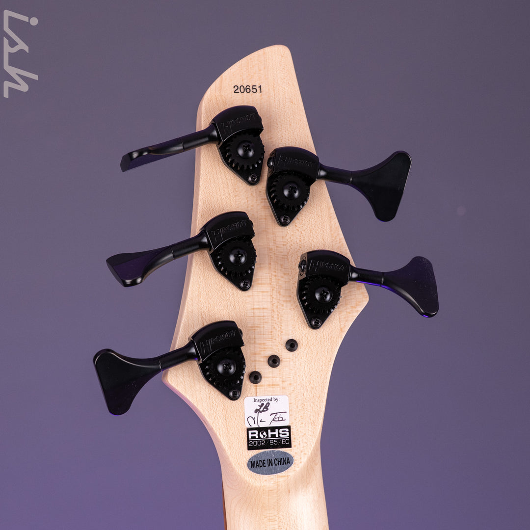 Dingwall John Taylor JT3 5-String Bass Stealth Black