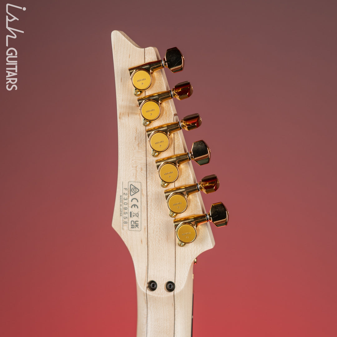 Ibanez PIA3761 Steve Vai Signature Onyx Black