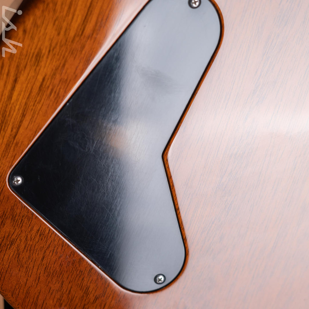 2010 PRS Private Stock DC 245 Ted McCarty Copperhead
