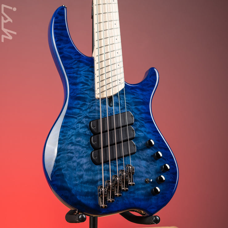 Dingwall Combustion 5-String Bass Indigoburst