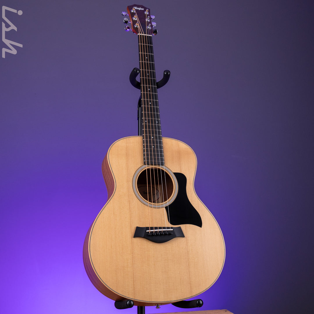 2025 Taylor GS Mini