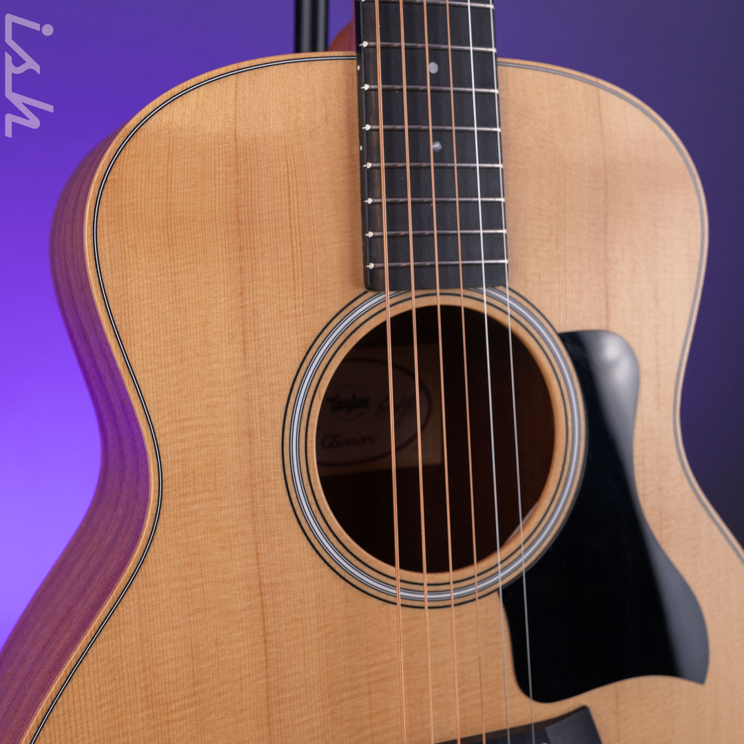 2025 Taylor GS Mini