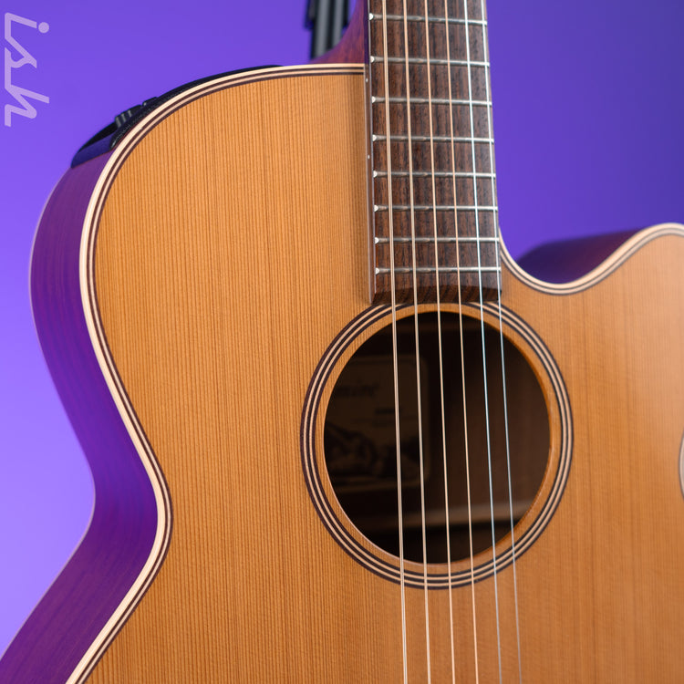 Takamine T-406 ジャンク s-l400.jpg