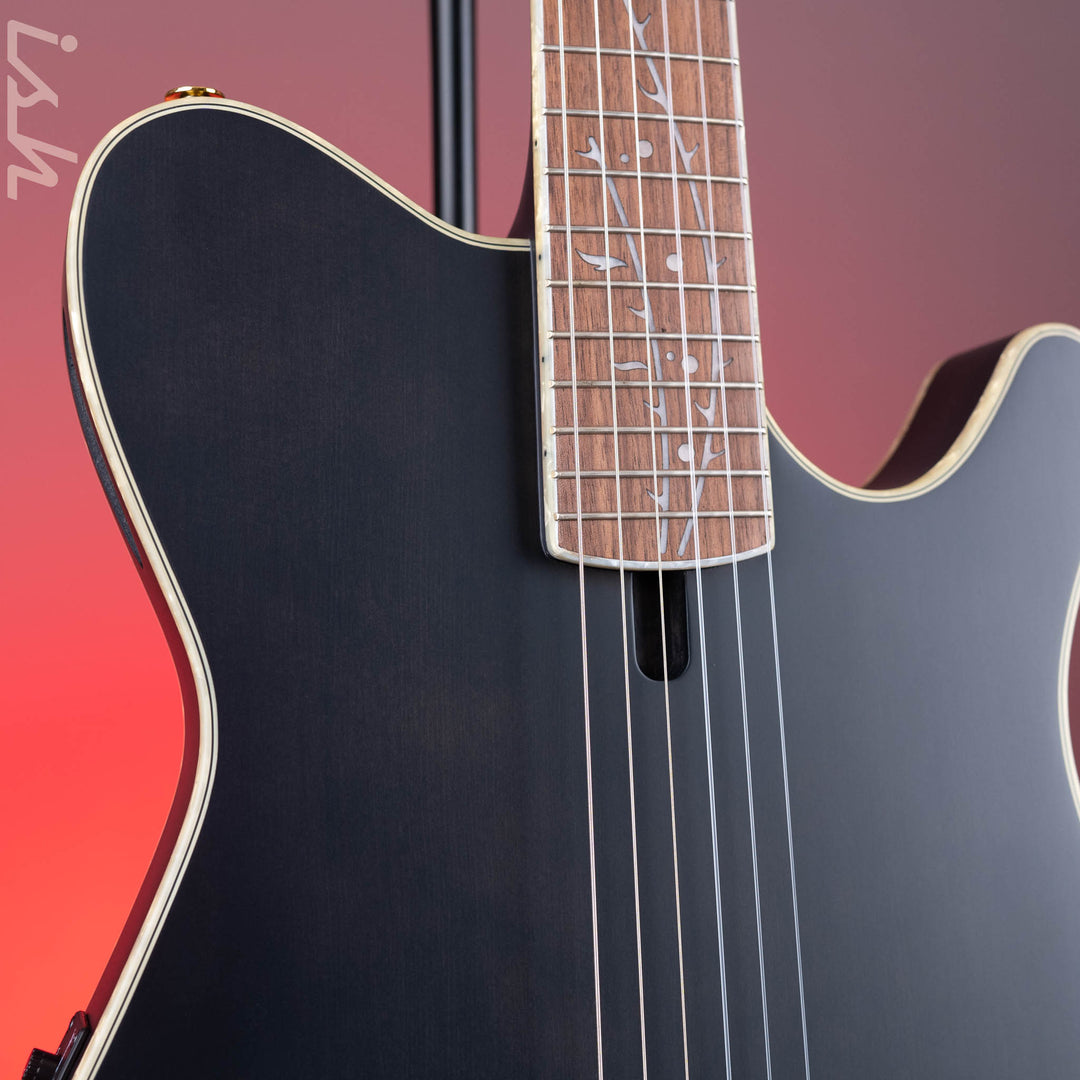 Ibanez TOD10N Tim Henson Signature Nylon Acoustic-Electric Guitar Transparent Black Flat Demo