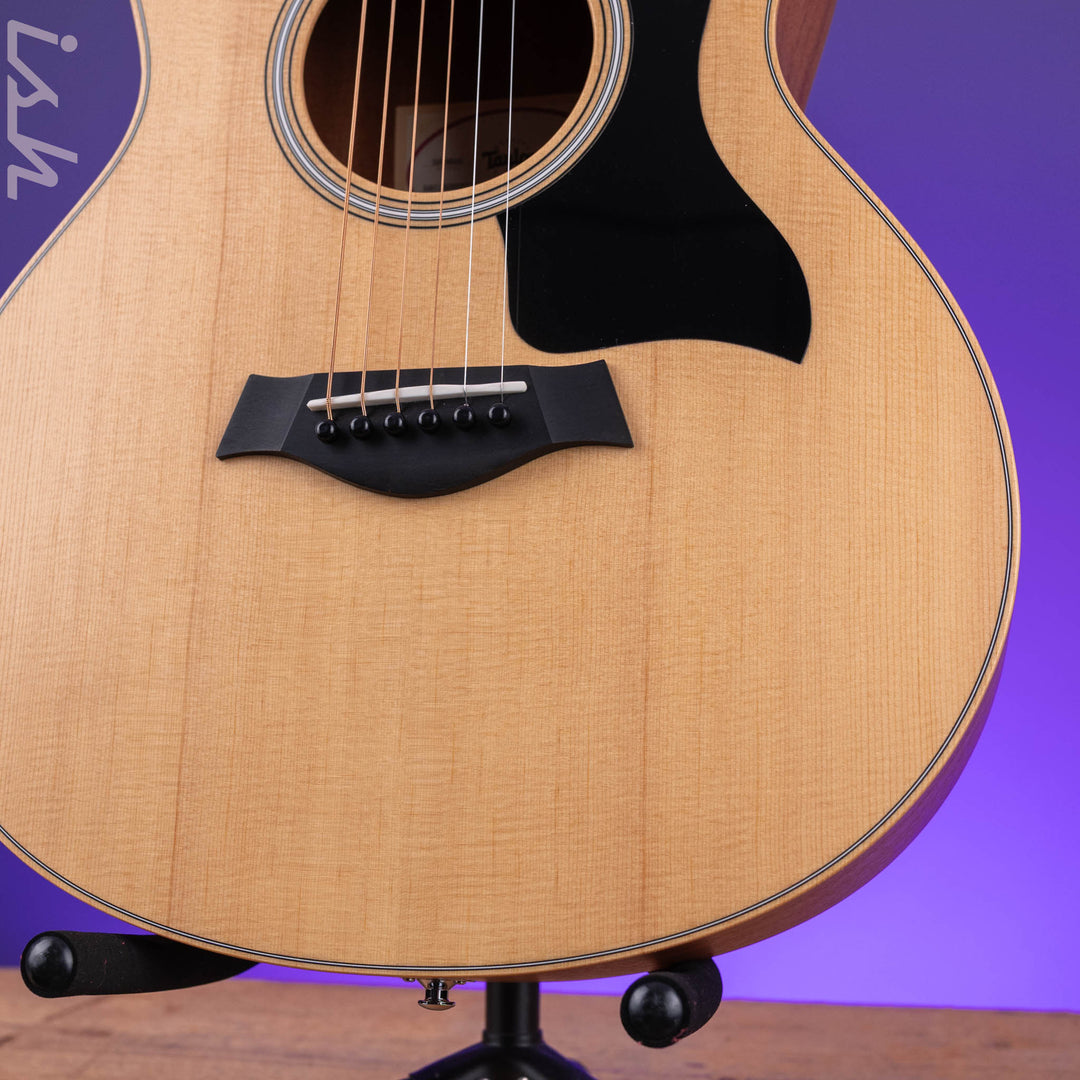2025 Taylor GS Mini