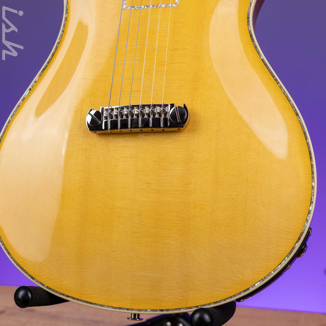 PRS Private Stock Custom 24 Piezo &