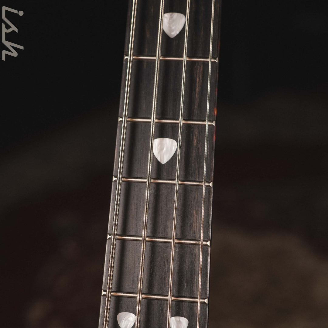 Spector NS-2 Adam - Woodstock Custom Collection V2